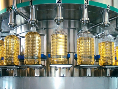 ��֬����